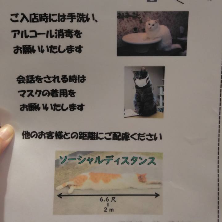 Dd3ac1f0 0f2b 4299 b406 f18cd6fd7ddb 1599914218549
