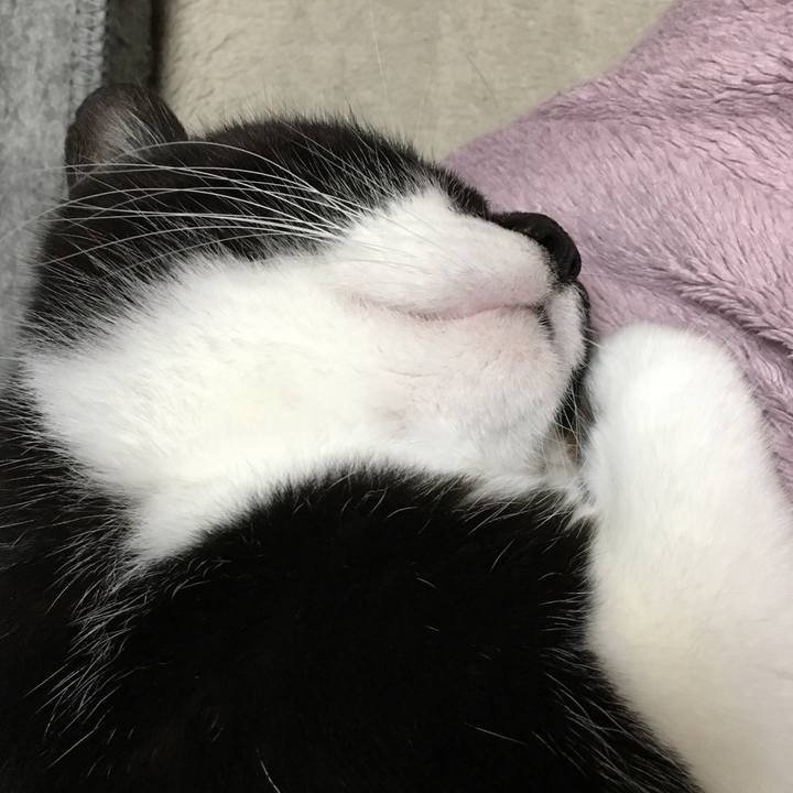 Dd3ac5d0 0f7e 4f20 8d2a 04140717f769 1544177680825