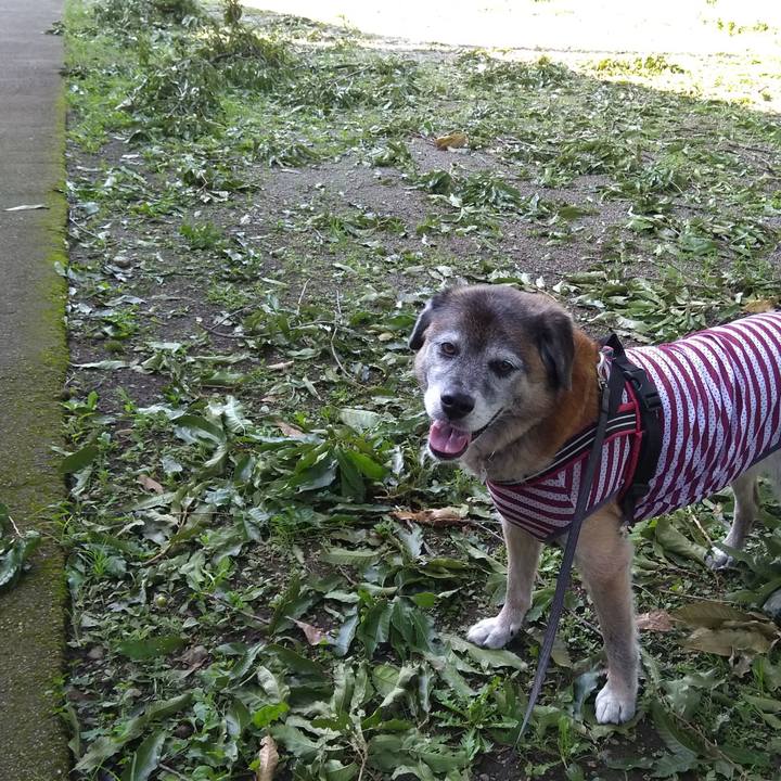 Dd3adedf 998d 4629 9549 cce0634fa1a7 1568073377059