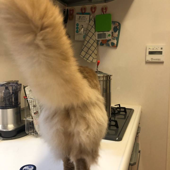 Dd3af4af 02d2 49d5 82f3 019ac9256529 1620342379326