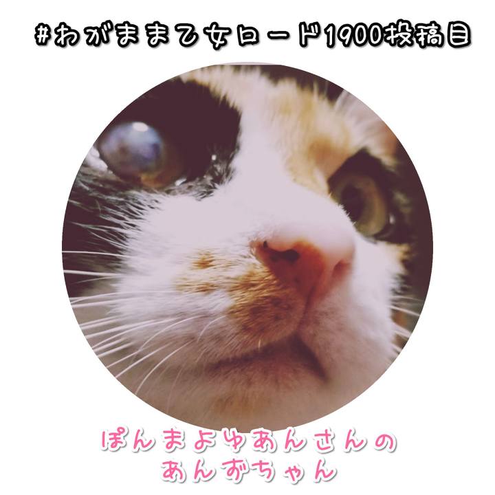 Dd3b0693 7759 4b27 8292 84be278af256 1576572555483