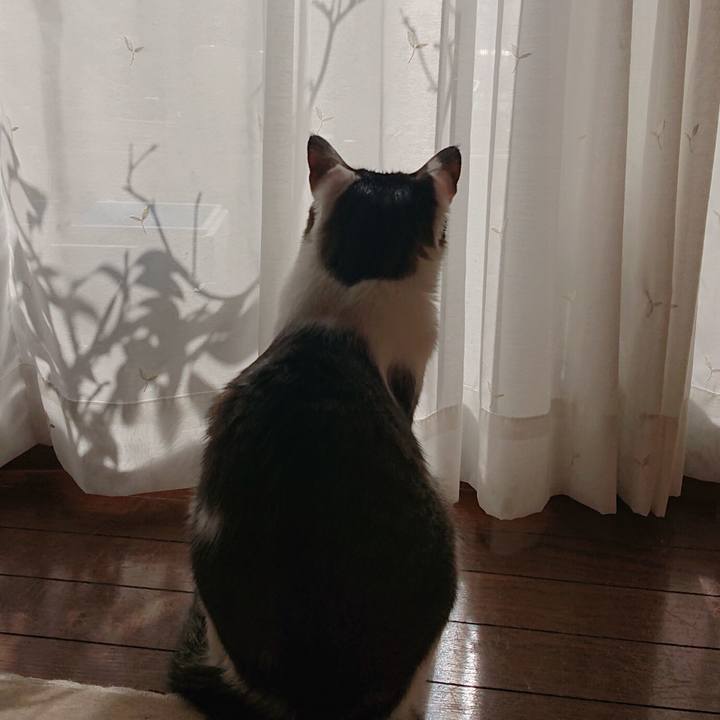 Dd3b06e3 75d5 40d4 892e cc80d1722750 1611891868020