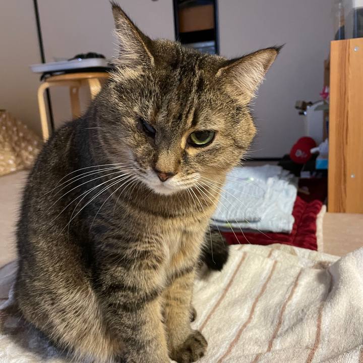 Dd3b0aed c0e5 4cc9 bf0f 4260bd3ce76b 1639056265880