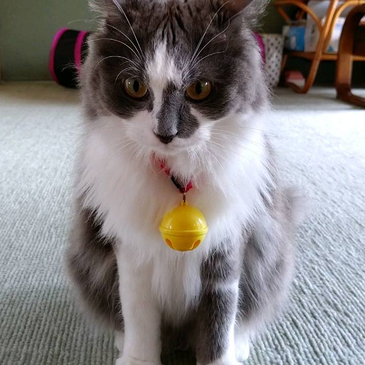 Dd3b11f0 985c 48f1 b7fb aeac3c1c963e 1594440244739