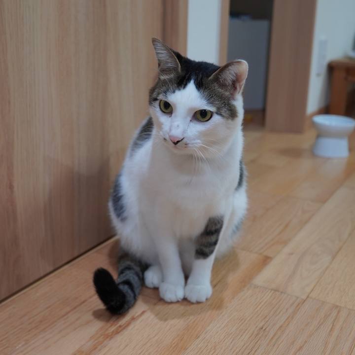 Dd3b5eee ca5c 443d 878f 011aaaac62ff 1603977228807