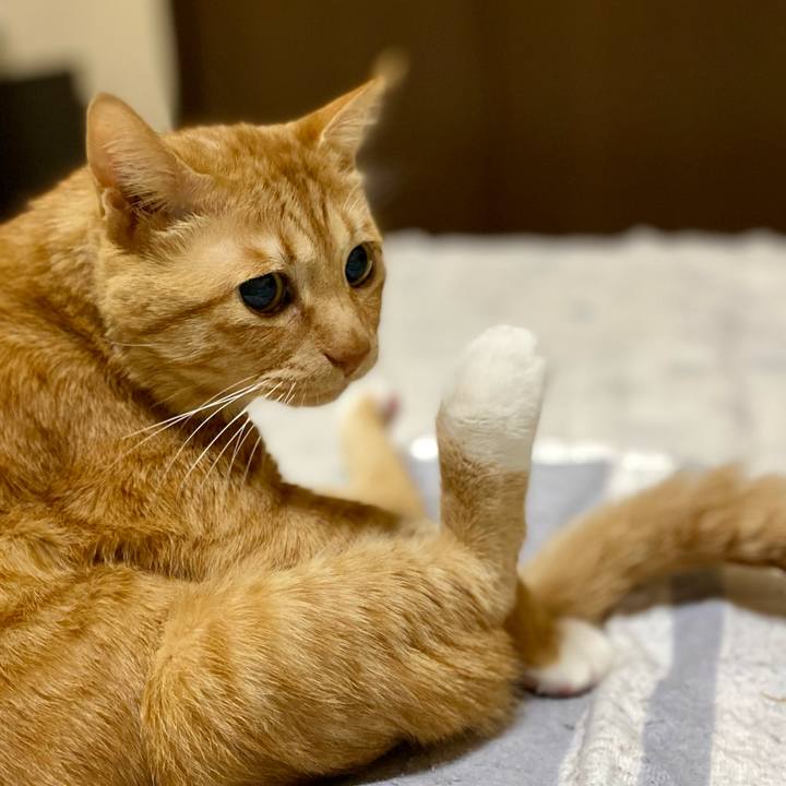 Dd3b6870 5269 4e05 bc74 3f8ea9f25d59 1769903791997