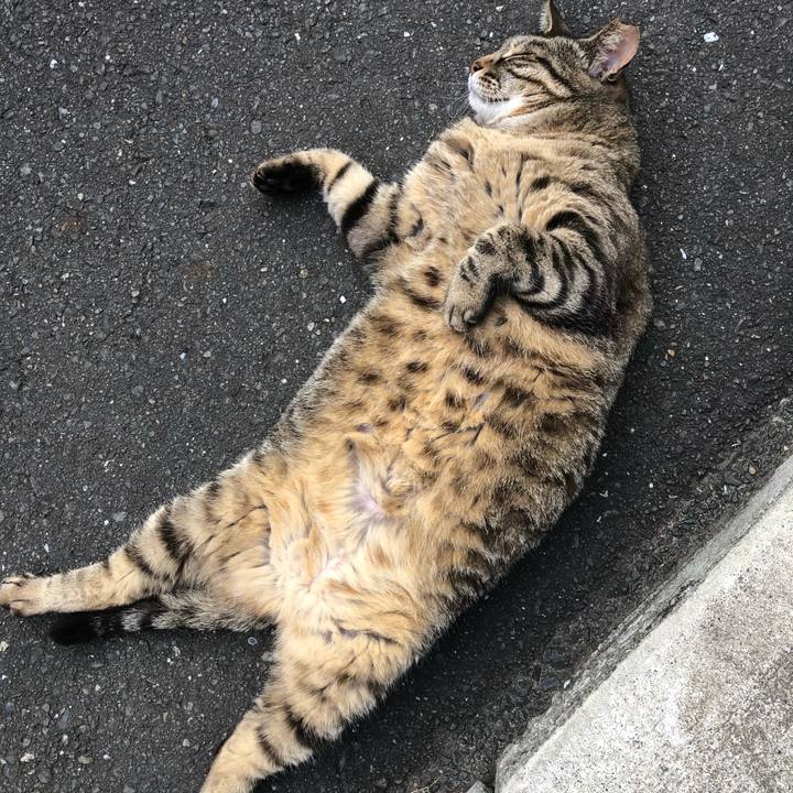 Dd3b72f3 fd5b 4d7c 8c44 ab915b08c706 1561181388445