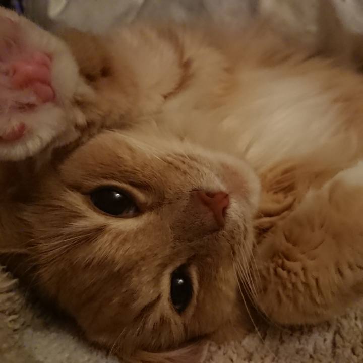 Dd3b9afe a193 46c3 a2c1 5e3317d8b8b2 1521562275462