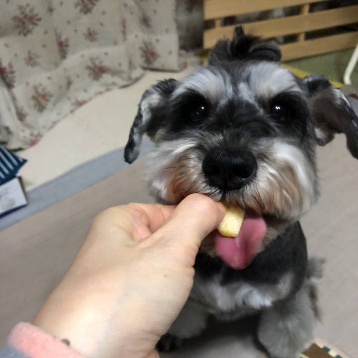 Dd3ba7a1 bfdd 4a2e 830a d48a63c6035b 1646317050992