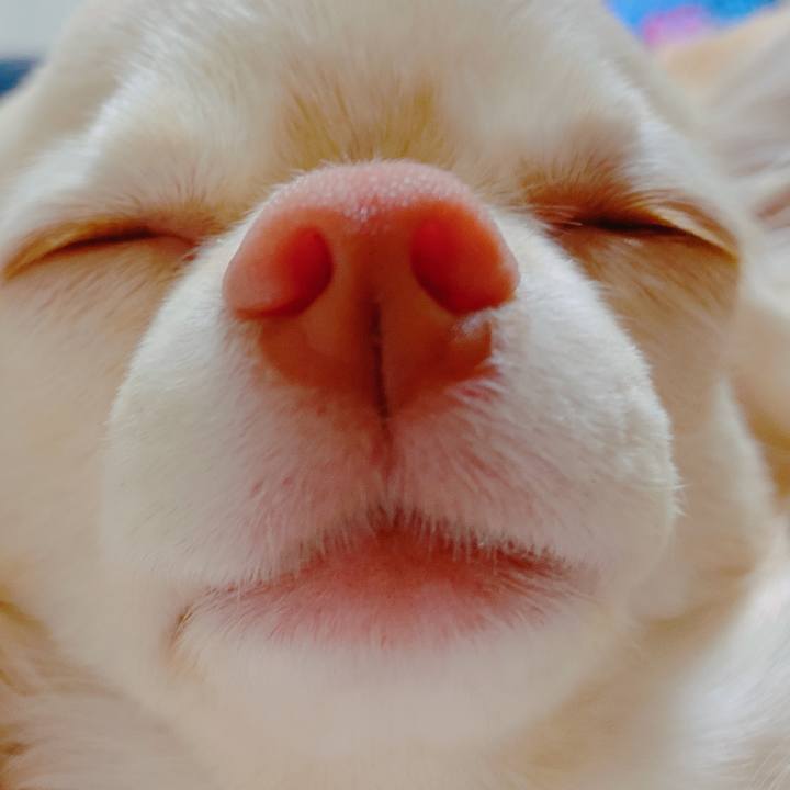 Dd3baa58 236c 4feb 9f43 beef98fce293 1639291719895