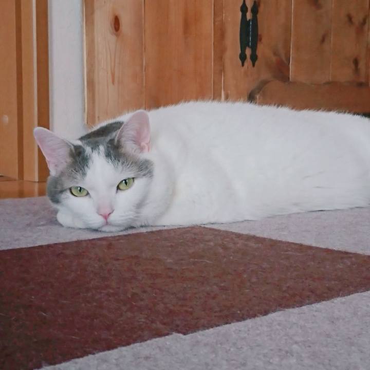 Dd3bde8c d300 456f 8c27 6bca5f514257 1529335057930