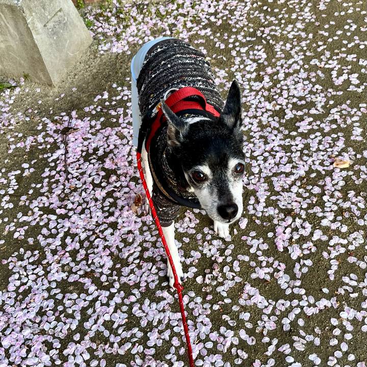 Dd3bf002 8d36 4704 89fa 97471fce30fa 1649283002063