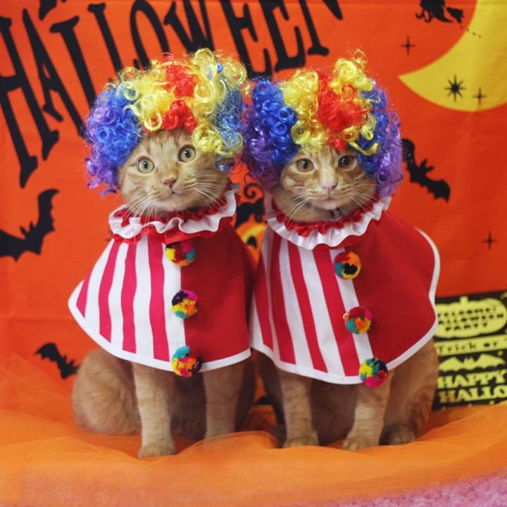 Dd3bf4d7 2246 4da9 b86c d935c7348bd1 1696511900390