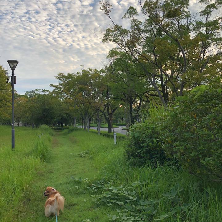 Dd3c3220 fdb6 4409 9843 f00a2af089a1 1568067646549