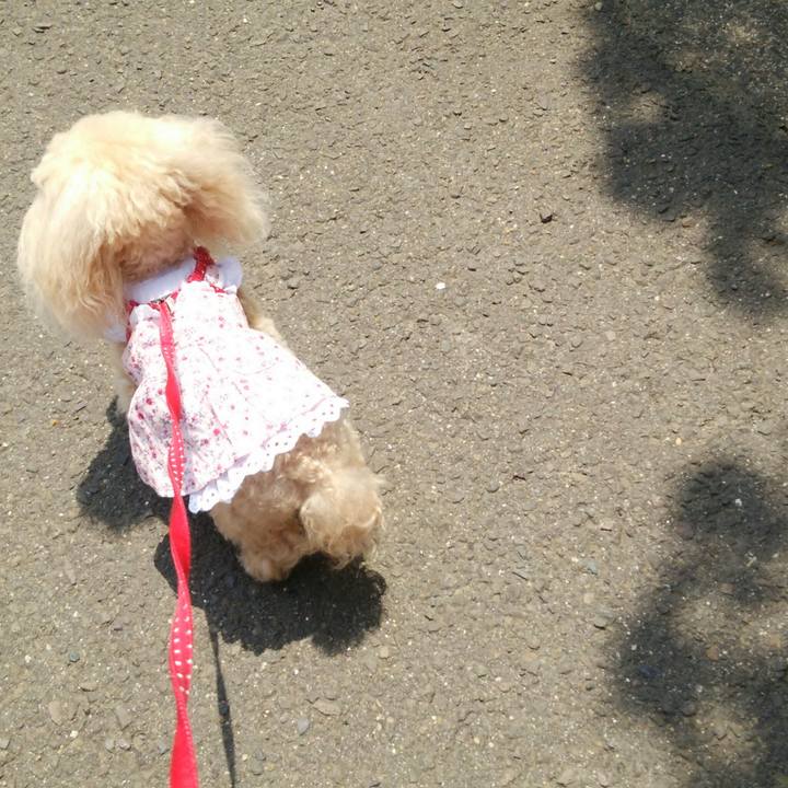 Dd3c468b 4cce 4184 ad9e c76ab7bee67c 1557822557761