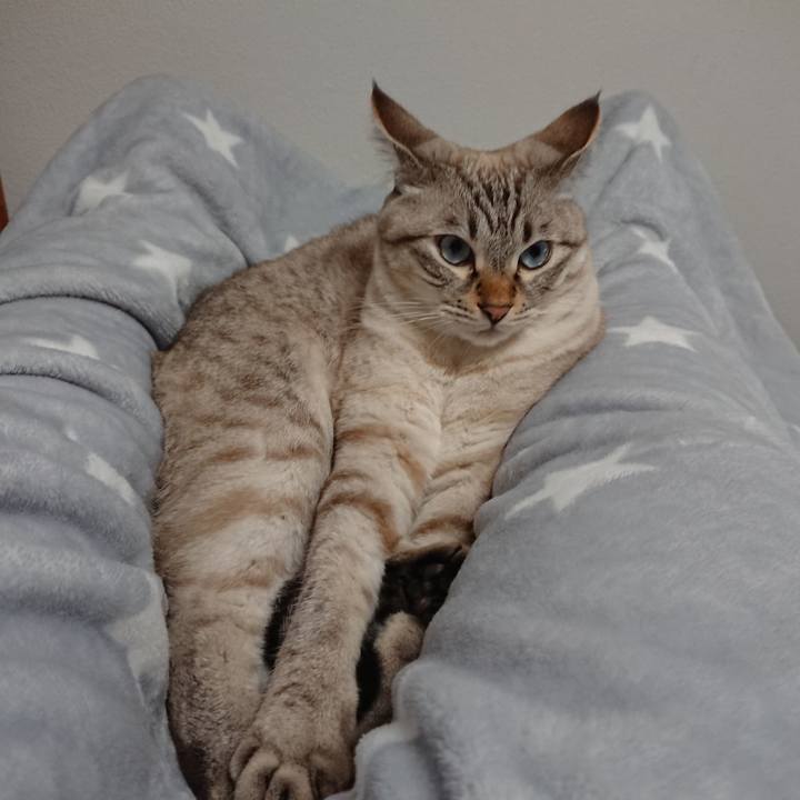 Dd3c4f49 c7cb 430c 9ec3 79d00a2abb68 1539435898949