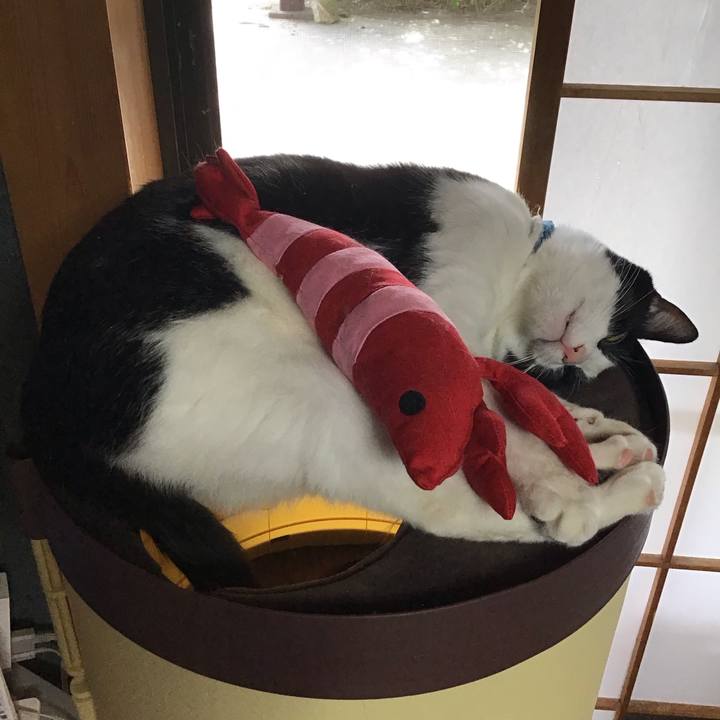 Dd3c89ac 2be7 45ba b3a6 9101637b83a6 1682685337928