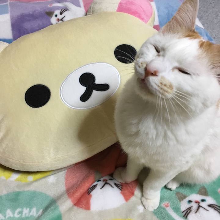 Dd3ca8e4 0e64 4ee3 bc73 f5e225c0aba9 1525381991946