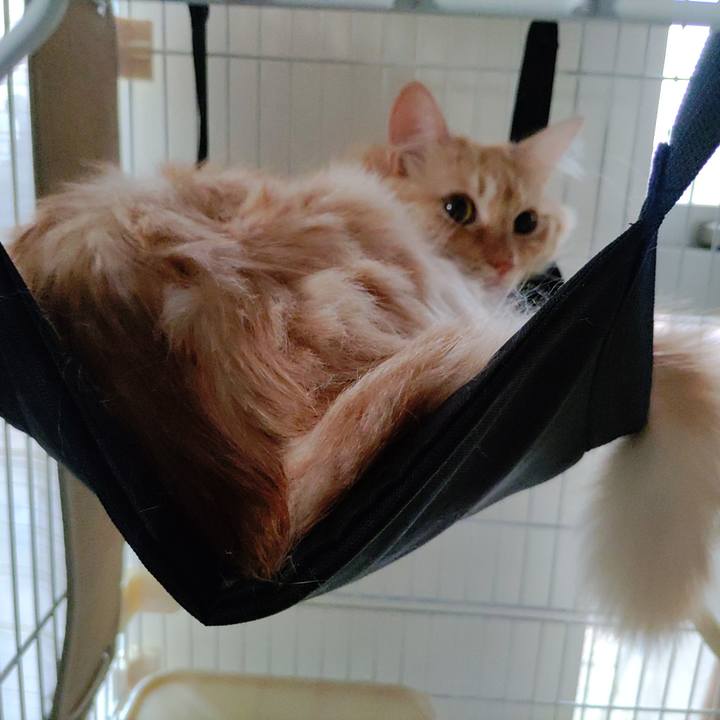 Dd3caa87 6fd6 4f86 be25 52101656b134 1662941146508