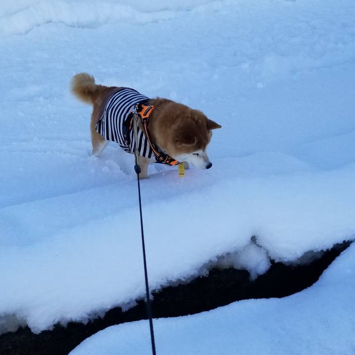 Dd3cc562 f4db 49ab a972 347e529e5639 1643431697999