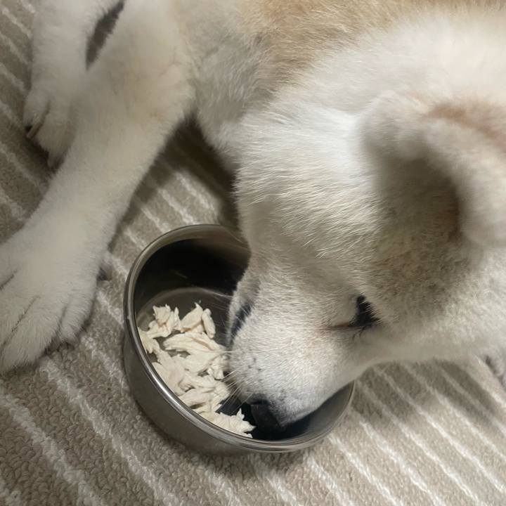 Dd3cc747 ce13 4945 afcb f972a978285d 1760999316315