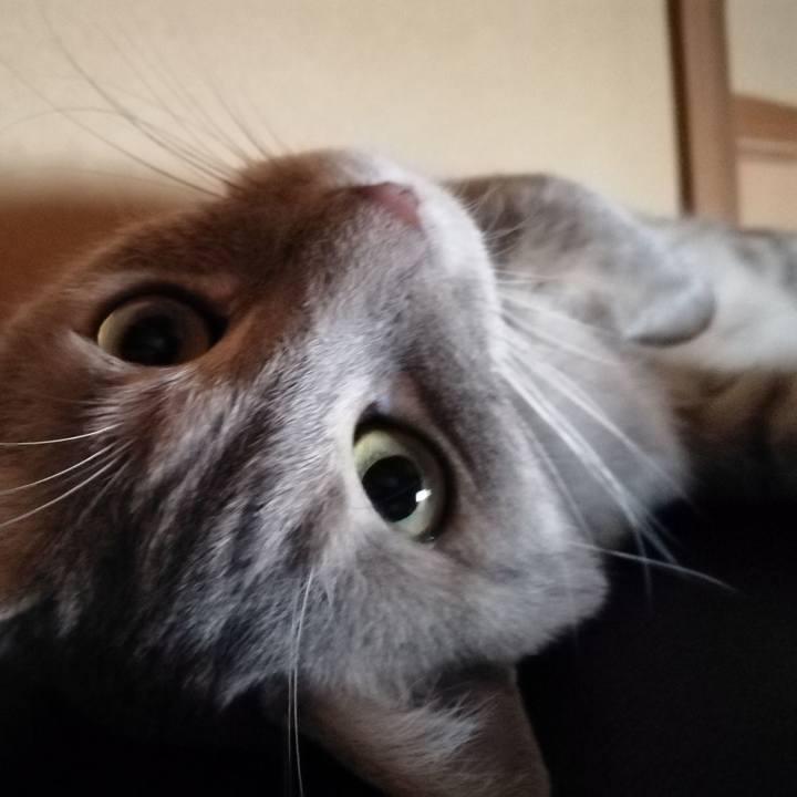 Dd3cc7ee 45c2 4d66 b179 929ebb1a140a 1530064007168