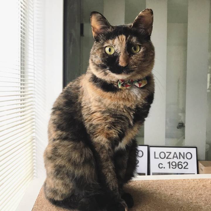 Dd3d0599 0c7c 4e44 be65 2bf3c1ad1632 1515320081615