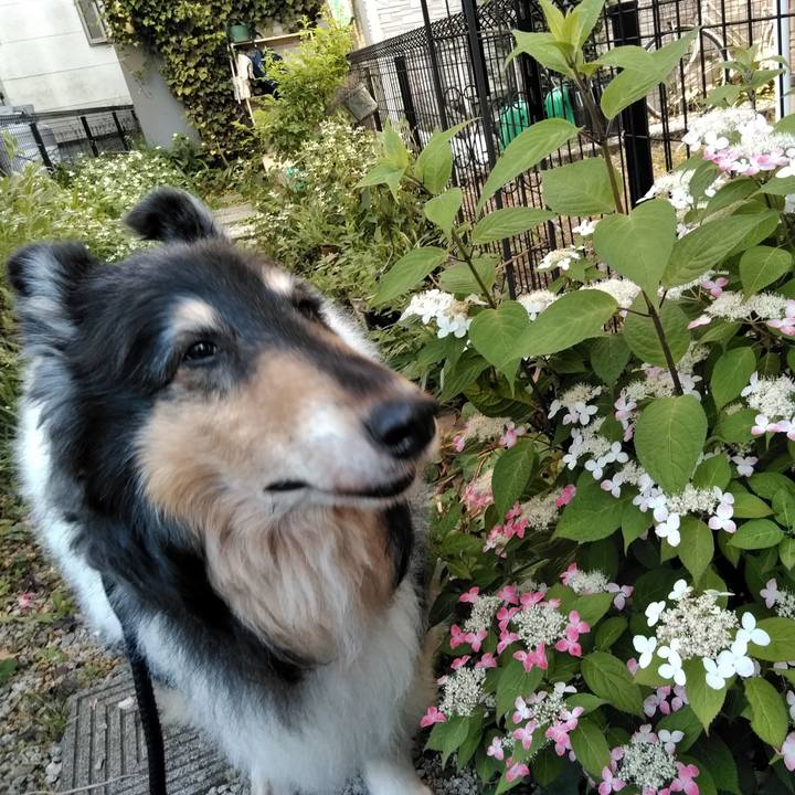 Dd3d3259 411e 4483 8334 64584282e481 1560514754589