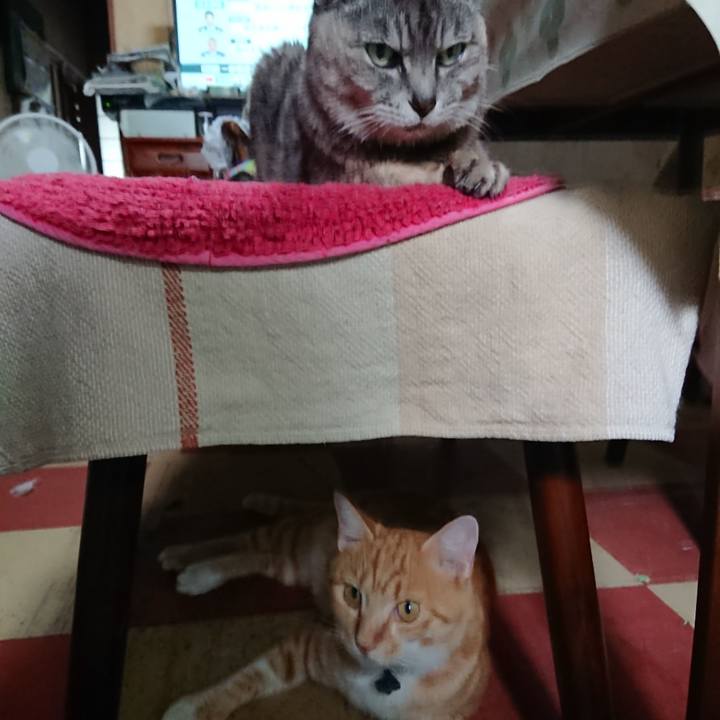 Dd3d3959 eb94 4796 b5c5 dd96865f1a19 1564184217126