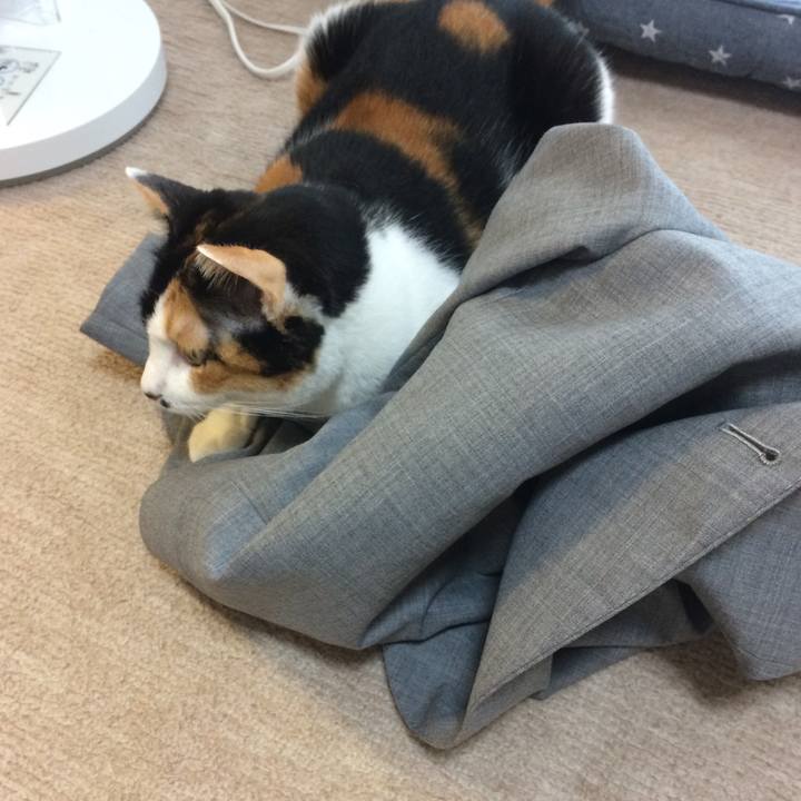 Dd3d55ed 7ffc 475d 8a3a fb100f6c5329 1602630067446