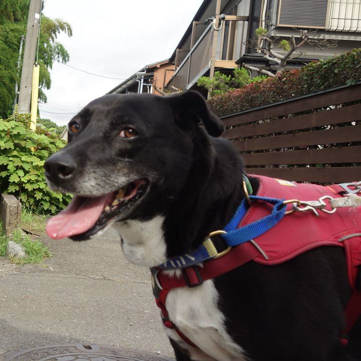 Dd3d5bbf 92b9 4b39 b501 f0e0a7e70b3b 1687220350818