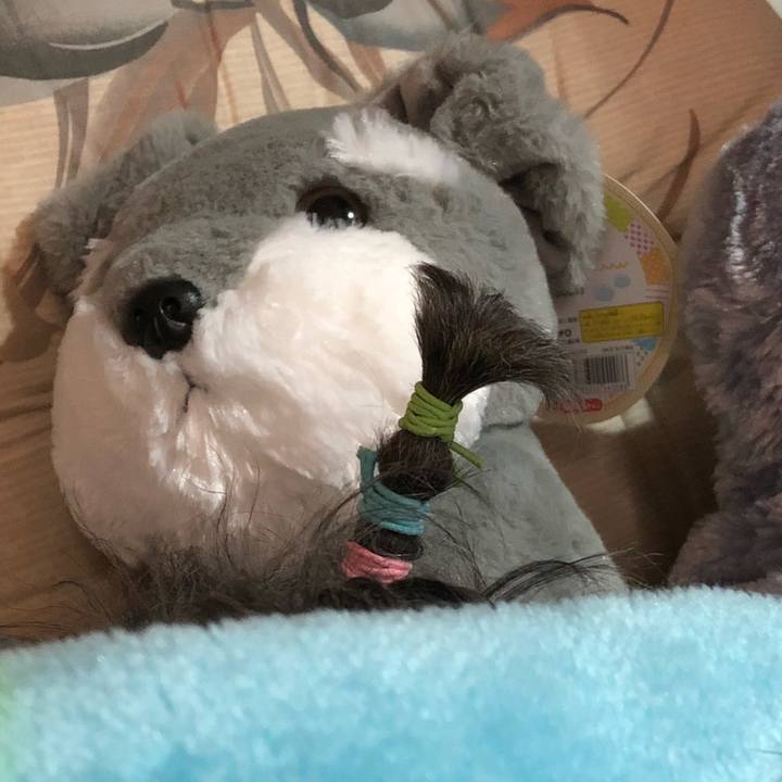 Dd3d68fc 20e9 4f81 9870 c99a5ed7c4eb 1538896327823