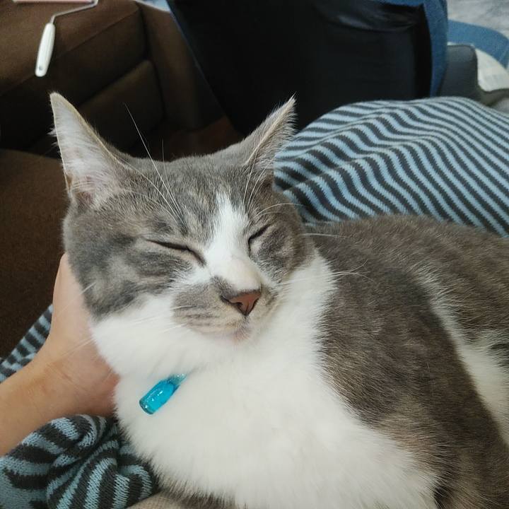 Dd3db5ea 090d 4ac1 8e1b e438a452c6c5 1589942853533