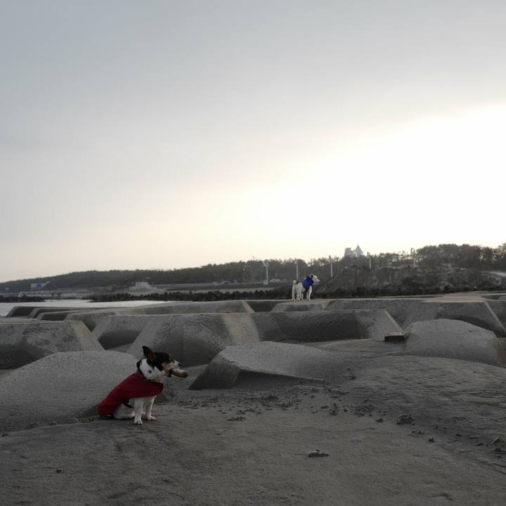 Dd3ddc9d 5e34 467c 8ae9 a7ca9ae9e493 1519450221114