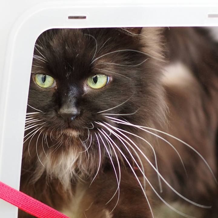 Dd3de293 89b7 4ea3 927a c7db46f3055a 1524394360620