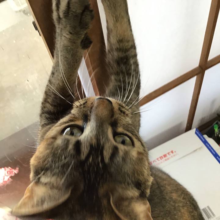 Dd3e2183 884d 4407 b03a 81ab6a3c95ba 1608615688878