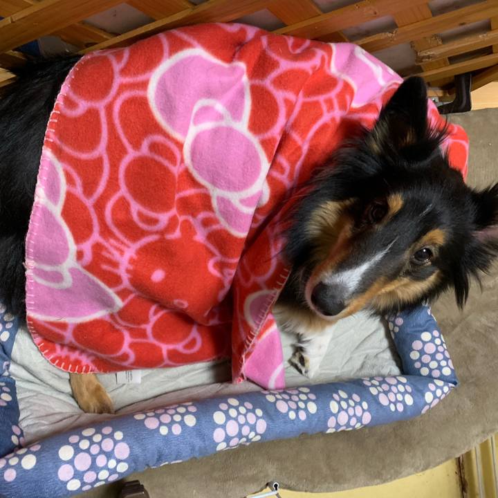 Dd3e5656 1081 465b 92aa f7100a7e3c98 1579530223739