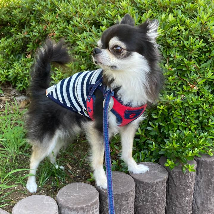 Dd3eb00b 6e5b 4c50 b6e5 8b9200872ff1 1717862217486