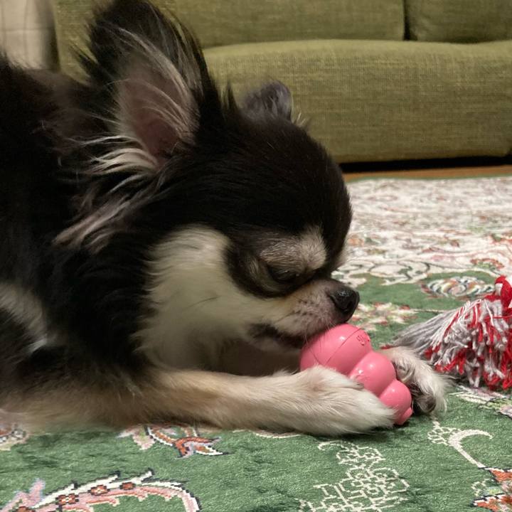 Dd3ebf9e e79a 4da3 983e 5a616fa2bbdc 1662297972136