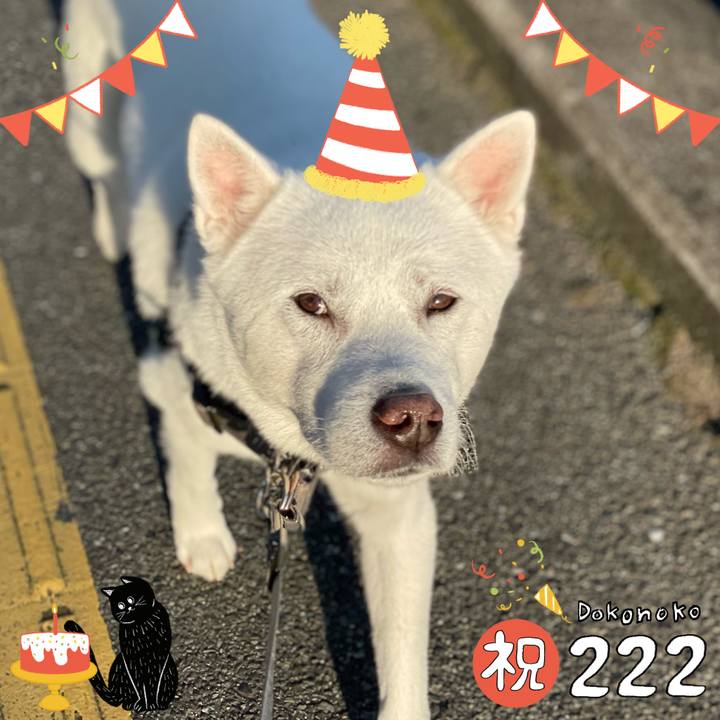 Dd3ecddd 5ff2 4d5f 9261 272e357f9382 1645528320694