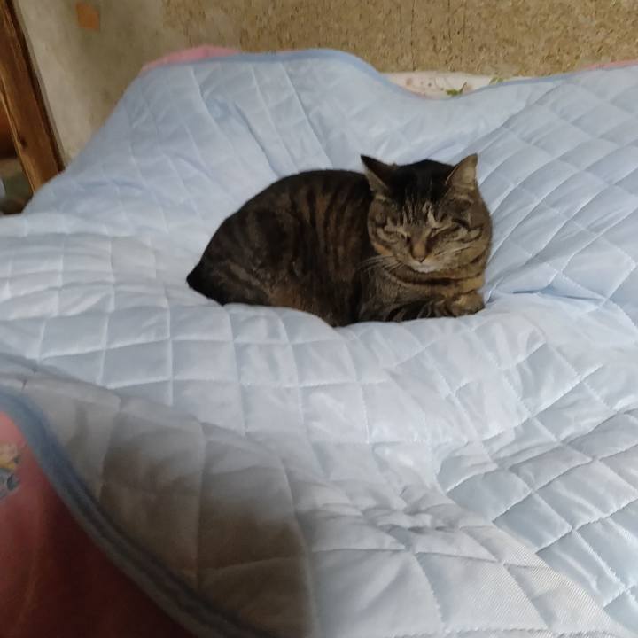 Dd3ee16c fe79 4168 83f5 a181ee81a1e4 1711202756981