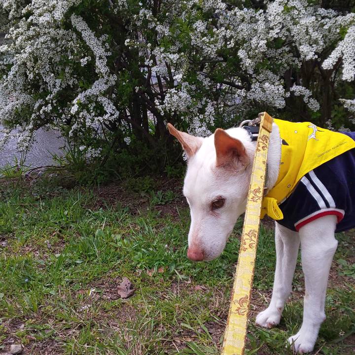 Dd3ee2ea d1b4 4798 8b5b 75adfd8ce850 1554015063771