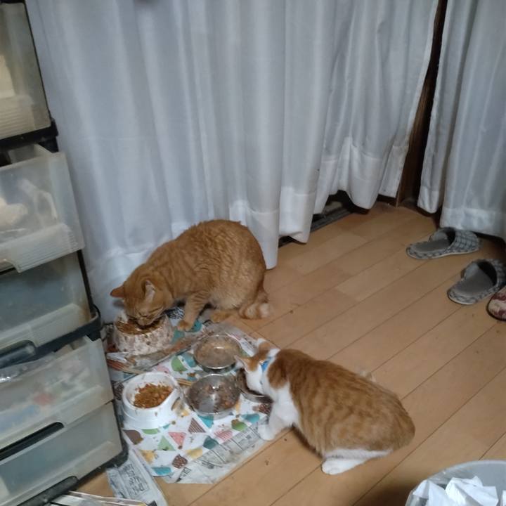 Dd3ef2c2 d08b 4905 a423 7ffbc2d134bc 1732320035032