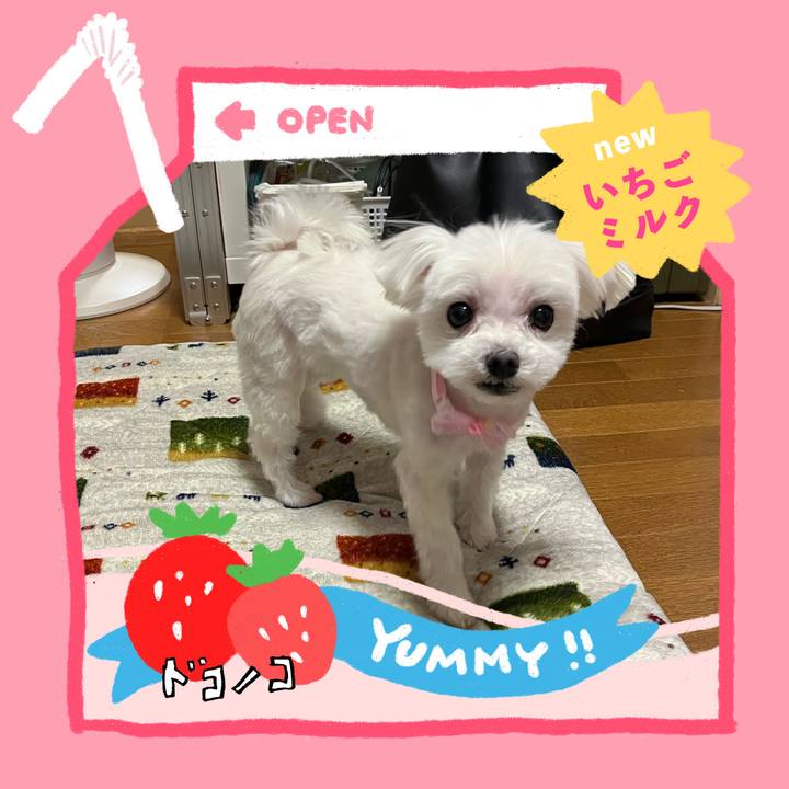 Dd3f0a1d a9fc 442d b74d 2b0d00c2fb7d 1710986532691