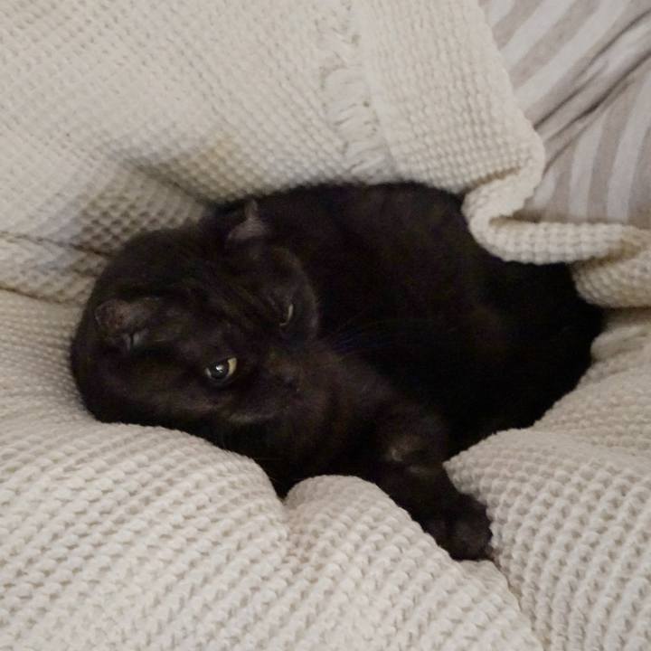 Dd3f0a28 c39d 4750 9e69 94b6af6ebf23 1575784017367