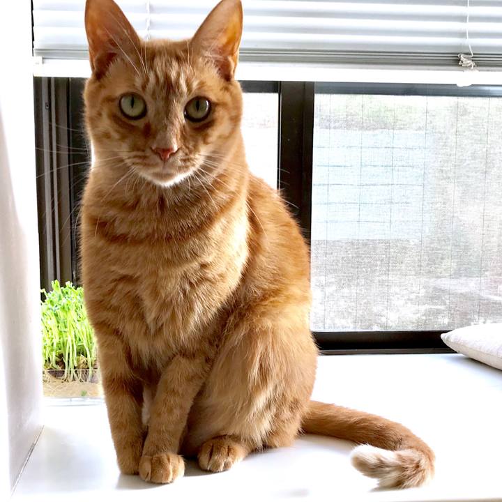 Dd3f1ccf 42cd 4c49 b9bc d94d80b74413 1554963170414