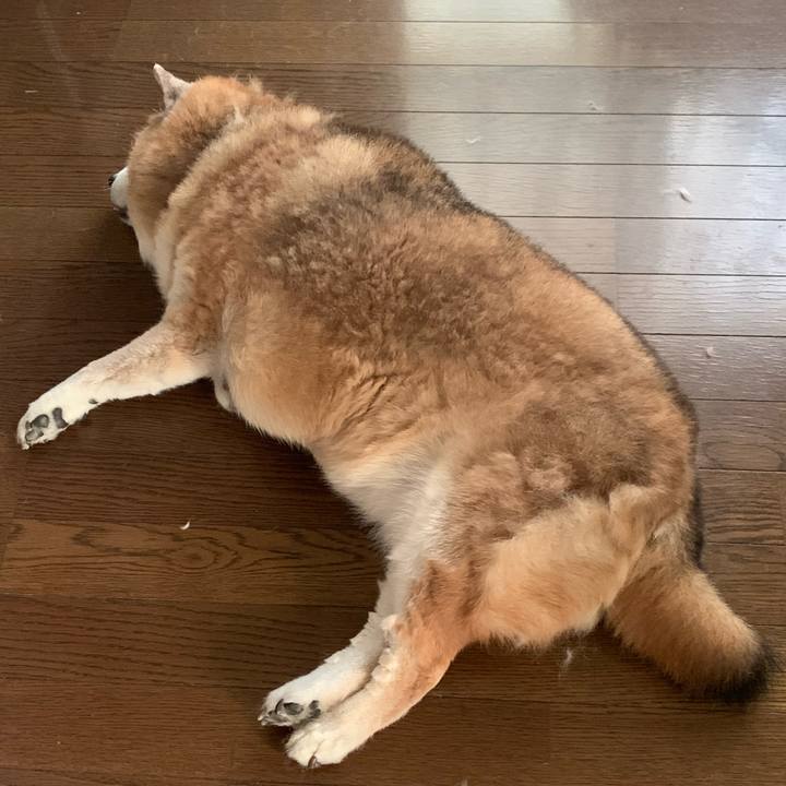 Dd3f421e fdd6 4017 8996 5f470a5aa3a7 1653484337055