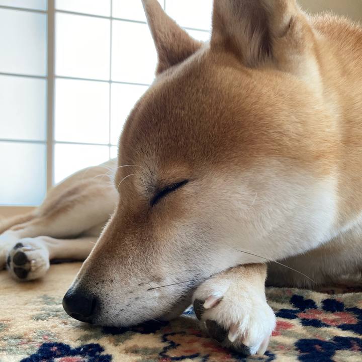 Dd3f5772 a99f 4dd2 b681 4dc02ad0f59b 1674640557238