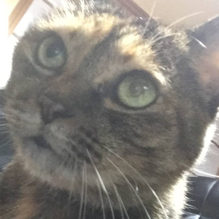 Dd3f61f7 262d 4a9b bc40 1239c1b8b6e3 1538470528366