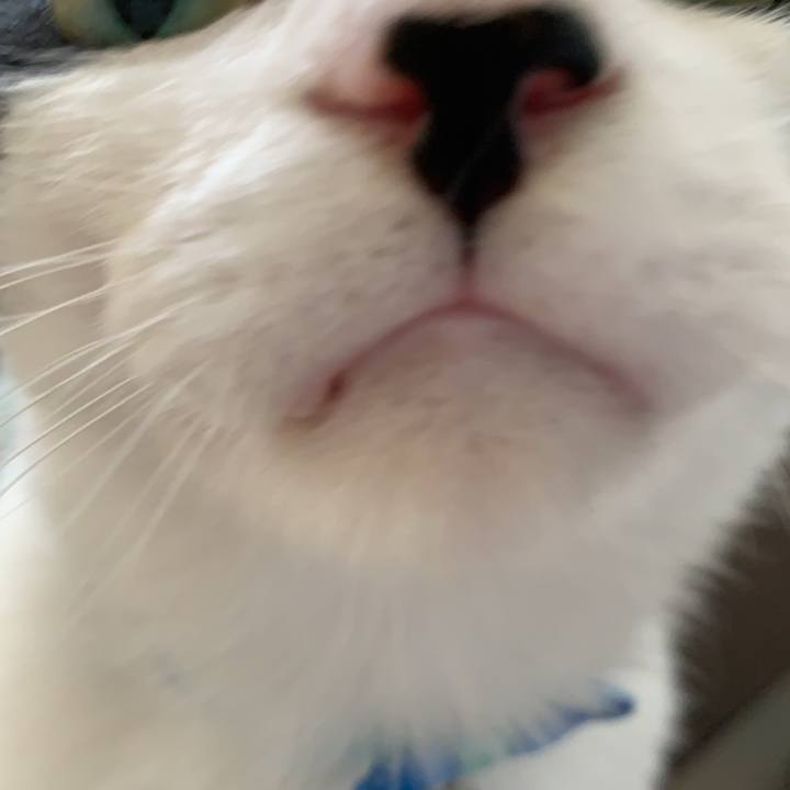 Dd3f71b1 bda3 4f2e 8297 22f3d3b5ff63 1638568729057